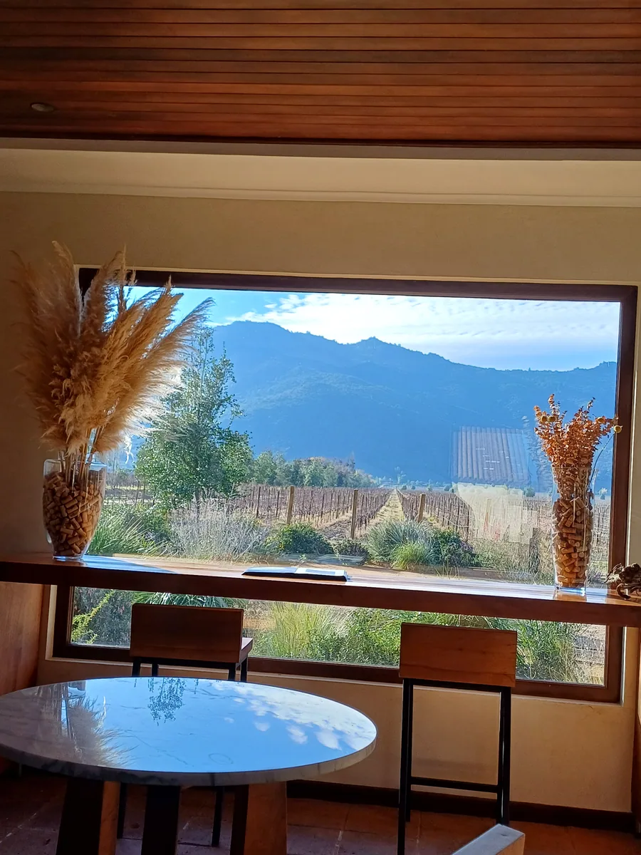 Clos Apalta Premium