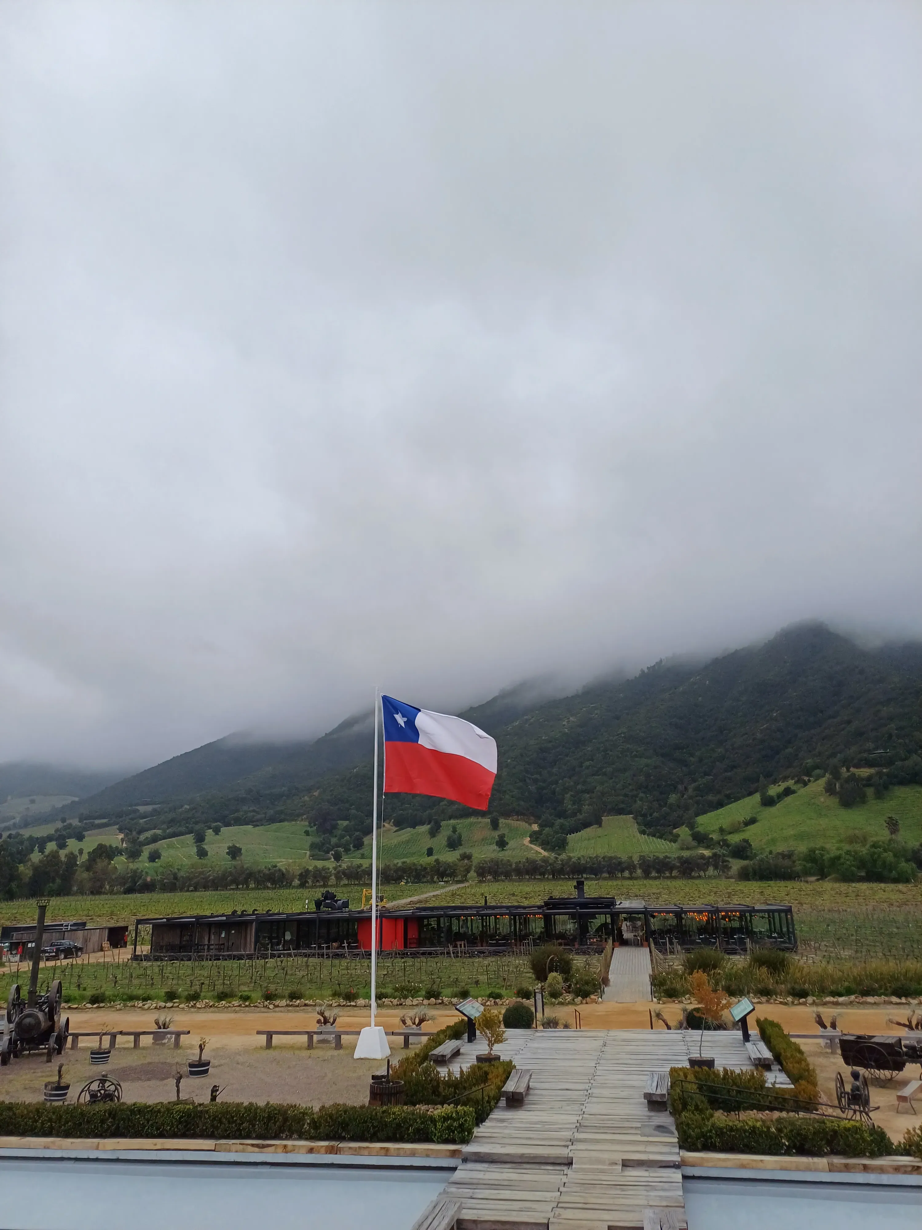 Degustación Viña Montes